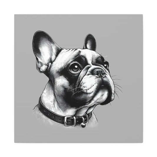 Majestic Gaze French Bulldog Canvas - 24″ x / 1.25’